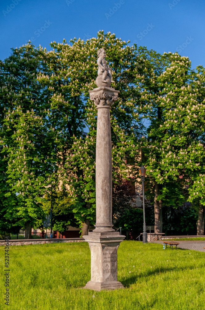 The column in front of the Collegiate Church. Lask, Lodzkie Voivodeship, Poland