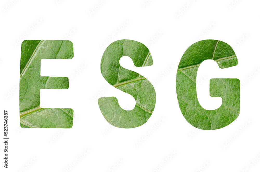 ESG. Environmental social and governance concept. Isolated on a white background ESG. Environmental social and governance concept. Isolated on a white background