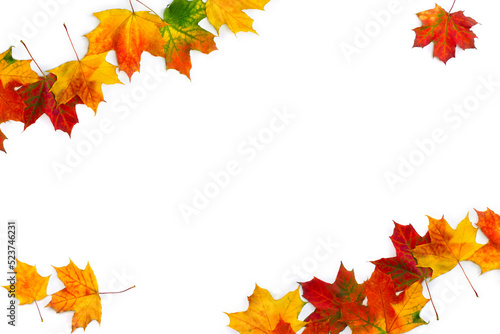 Frame of autumnal maple leaves on a white background with space for text. Top view  flat lay