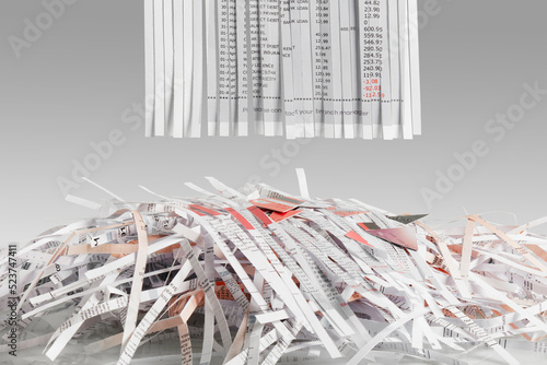 Shredded Bank Statement showing account in debt