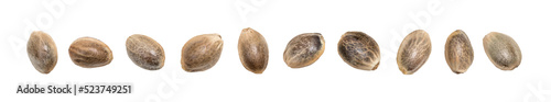 Close up of hemp seeds in a disorderly horizontal line and isolated on transparent background