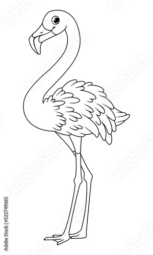 Tropical bird greater flamingo outline vector cartoon illustration