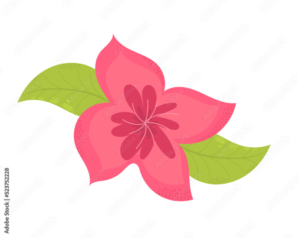 Fototapeta premium Illustration of a pink flower on a white background. Green leaves.