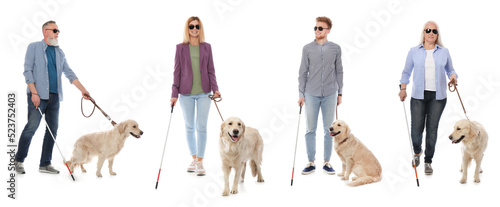 Photography Blind people with long canes and guide dogs on white background