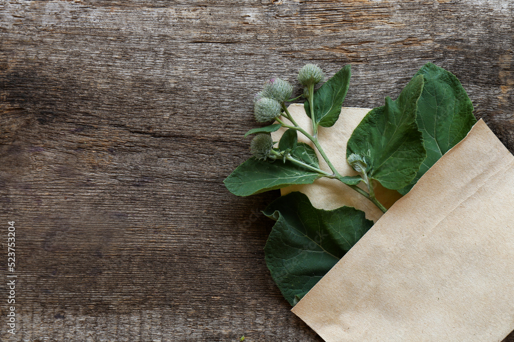 Fresh green burdock leaves and flowers in envelope on wooden table, top view. Space for text Fresh green burdock leaves and flowers in envelope on wooden table, top view. Space for text