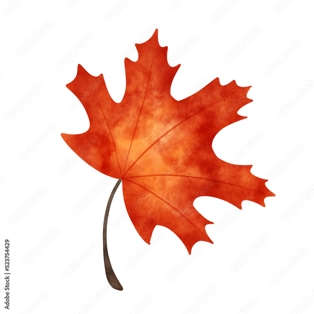 Naklejka premium Autumn maple leaf