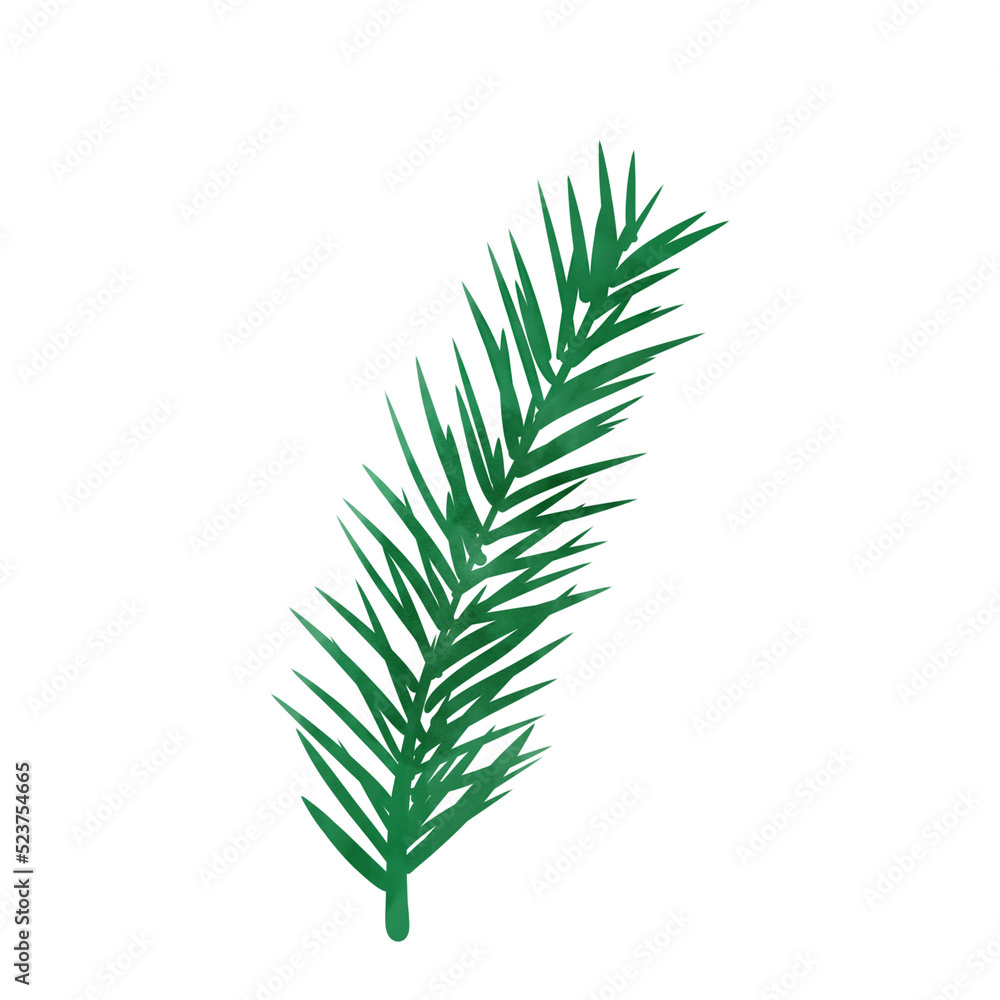 Branch of a tree with leaves Branch of a tree with leaves