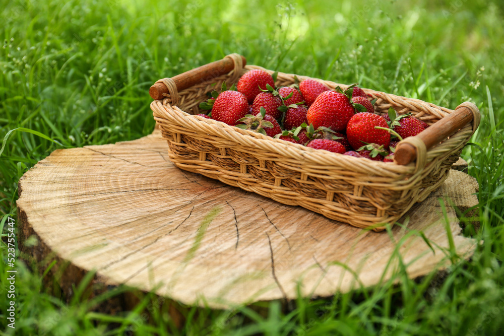 Basket with ripe strawberries on tree stump outdoors. Space for text Basket with ripe strawberries on tree stump outdoors. Space for text