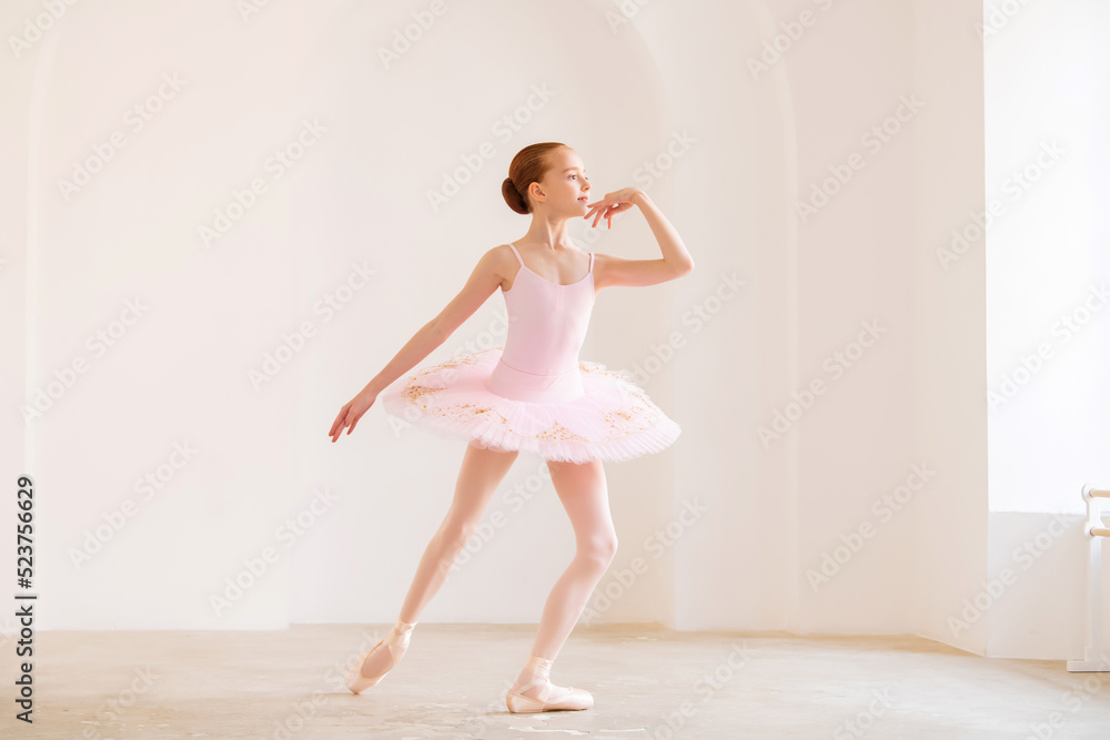 Little girl ballerina dancer in tutu learning ballet dance at dance school Little girl ballerina dancer in tutu learning ballet dance at dance school