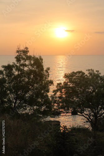 Seascape with dark silhouettes of trees. Morning.