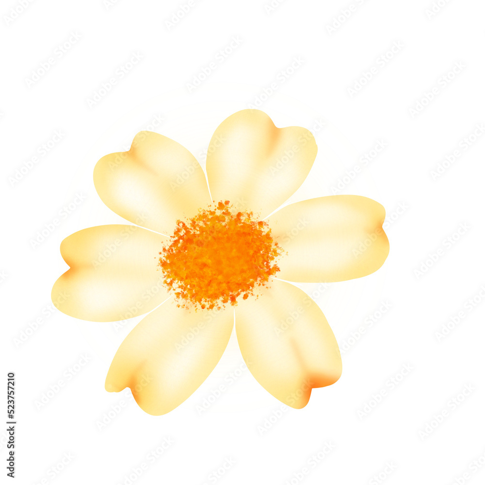 Yellow flower watercolor Yellow flower watercolor