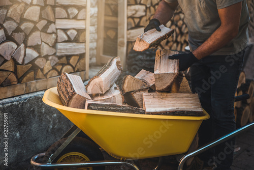 Man working with firewood, carring wood logs. Preparation for winter. Rustic countryside.