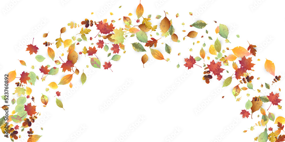 Leaves Falling Autumn Foliage Chaotic Leaf Flying Leaves Falling Autumn Foliage Chaotic Leaf Flying