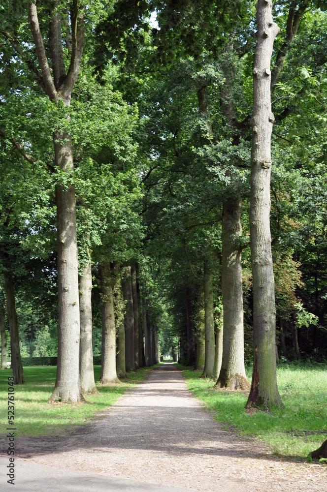 a medieval palace in the Netherlands.Kasteel de Haar a medieval palace in the Netherlands.Kasteel de Haar
