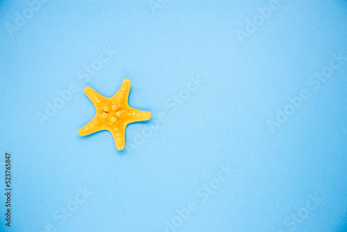 Beautiful decorative starfish on a blue background. Close up.