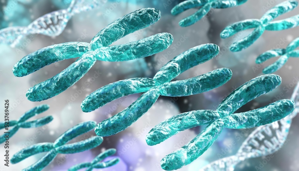 Chromosome, X chromosome, human gene, heredity, chromosome on a blurred background, 3D rendering