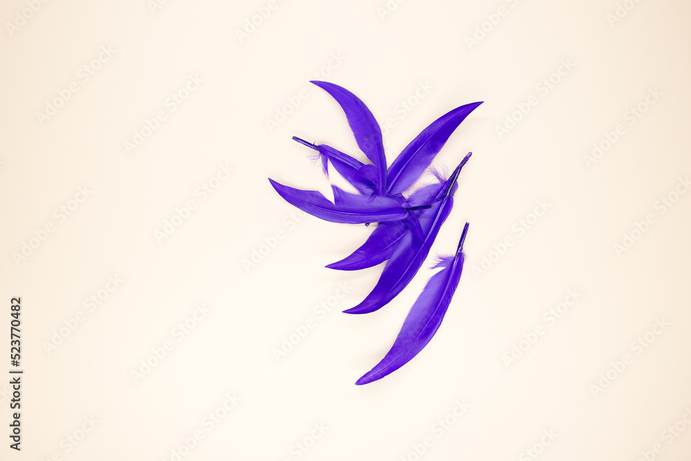 Fototapeta premium Beautiful decorative featherson a beige background . Close up.