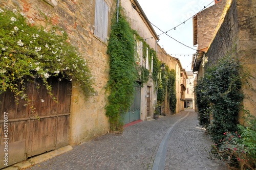 Fototapeta Naklejka Na Ścianę i Meble -  Joli village de La Réole en Gironde - France