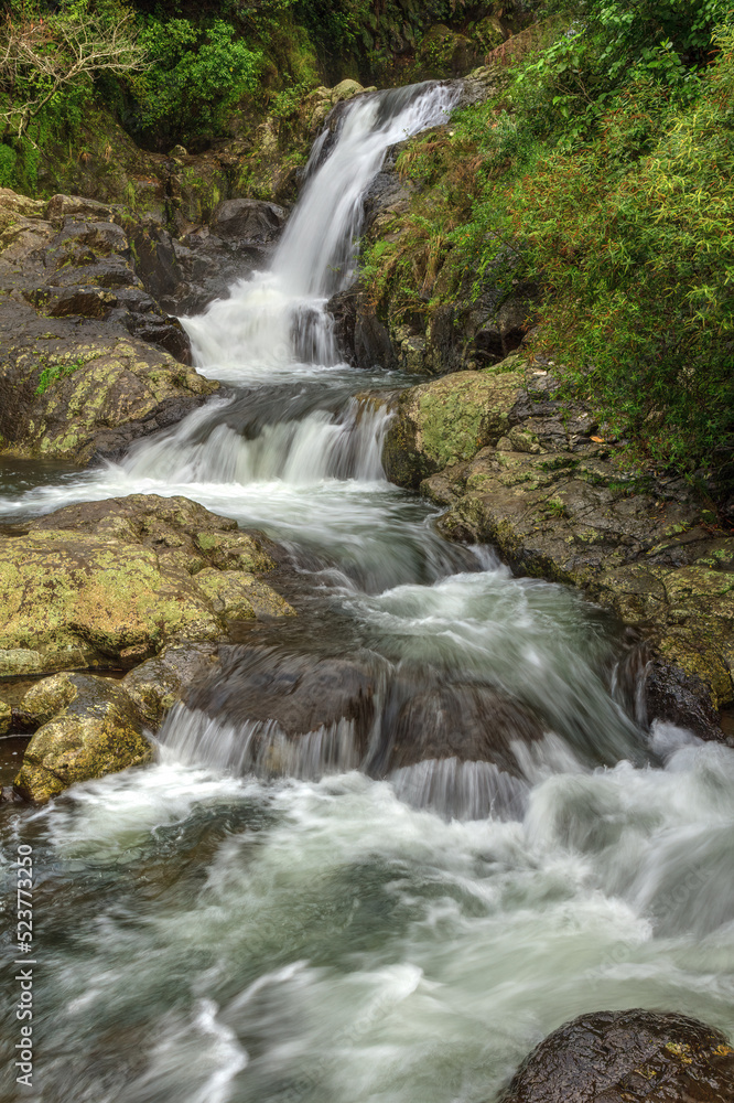 A multi-tiered waterfall cascades over rock ledges in the forest. Kaiate Falls, Bay of Plenty, New Zealand