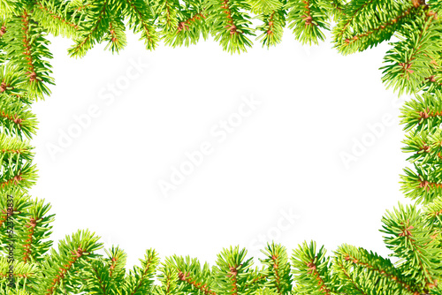 Frame of green Christmas tree branches isolated on white background.