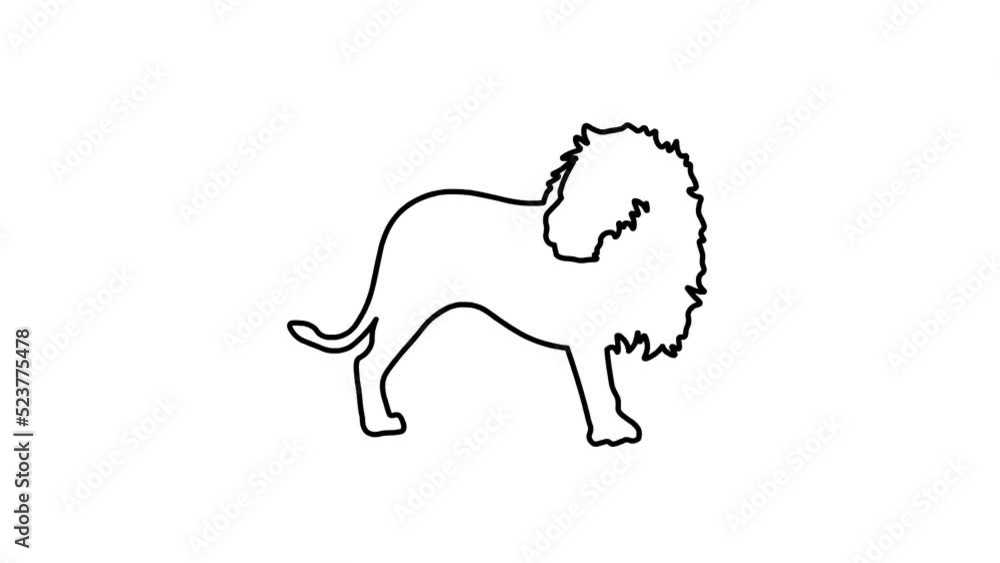 lion Sketch and 2d animation lion Sketch and 2d animation