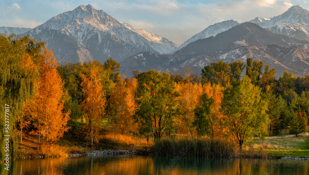 Fototapeta premium Mixed forest against the backdrop of mountains in the autumn evening