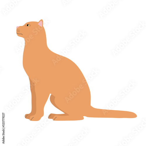 Vector flat hand drawn cat isolated on white background