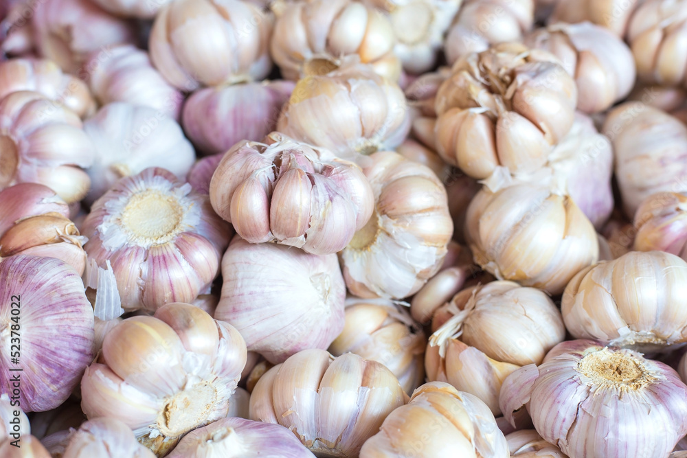 White garlic meat, fresh garlic in the market table. Close-up photo. Vitamins, healthy food, spices. Image of spicy cooking ingredients, pile of white garlic heads, white garlic heads, heap head White garlic meat, fresh garlic in the market table. Close-up photo. Vitamins, healthy food, spices. Image of spicy cooking ingredients, pile of white garlic heads, white garlic heads, heap head