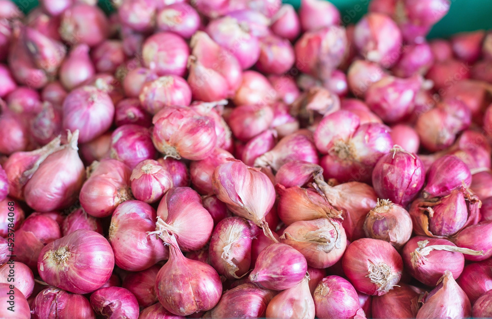 Shallot put together as a group in basket basket at the market, Fresh red onions background, shallots fresh purple in basket, Shallots close up ,Vegetables for health Shallots is herbal. Shallot put together as a group in basket basket at the market, Fresh red onions background, shallots fresh purple in basket, Shallots close up ,Vegetables for health Shallots is herbal.