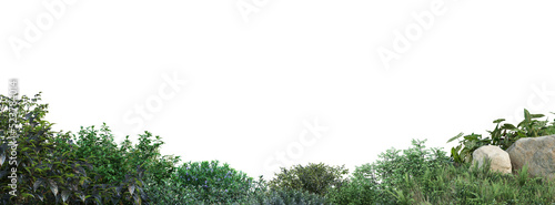 Shrubs and flower on a transparent background

