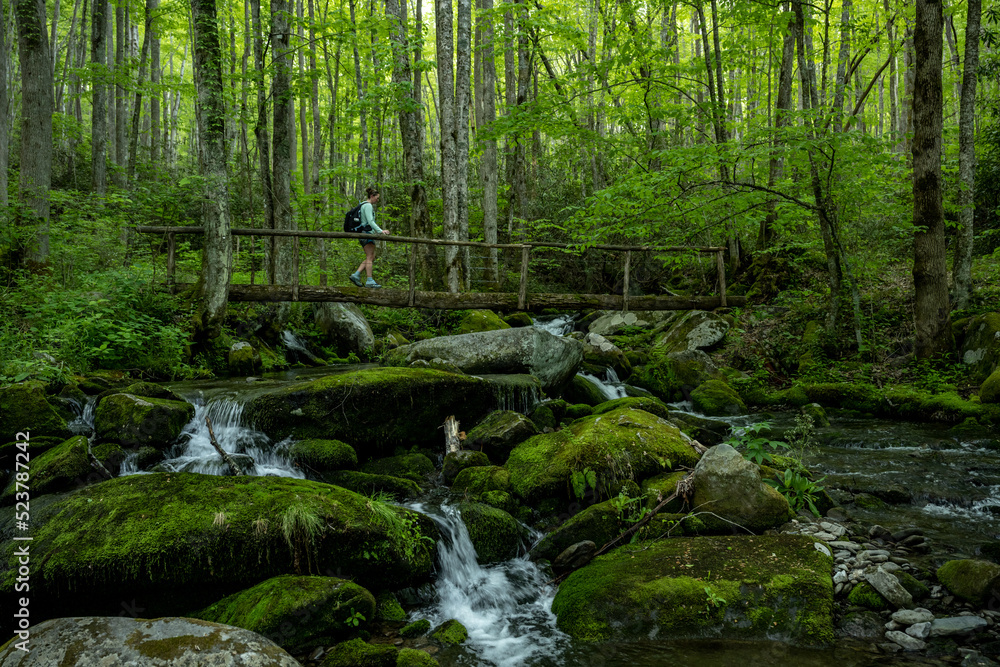 Obraz premium Hiker Crossing Jakes Creek In Great Smoky Mountains