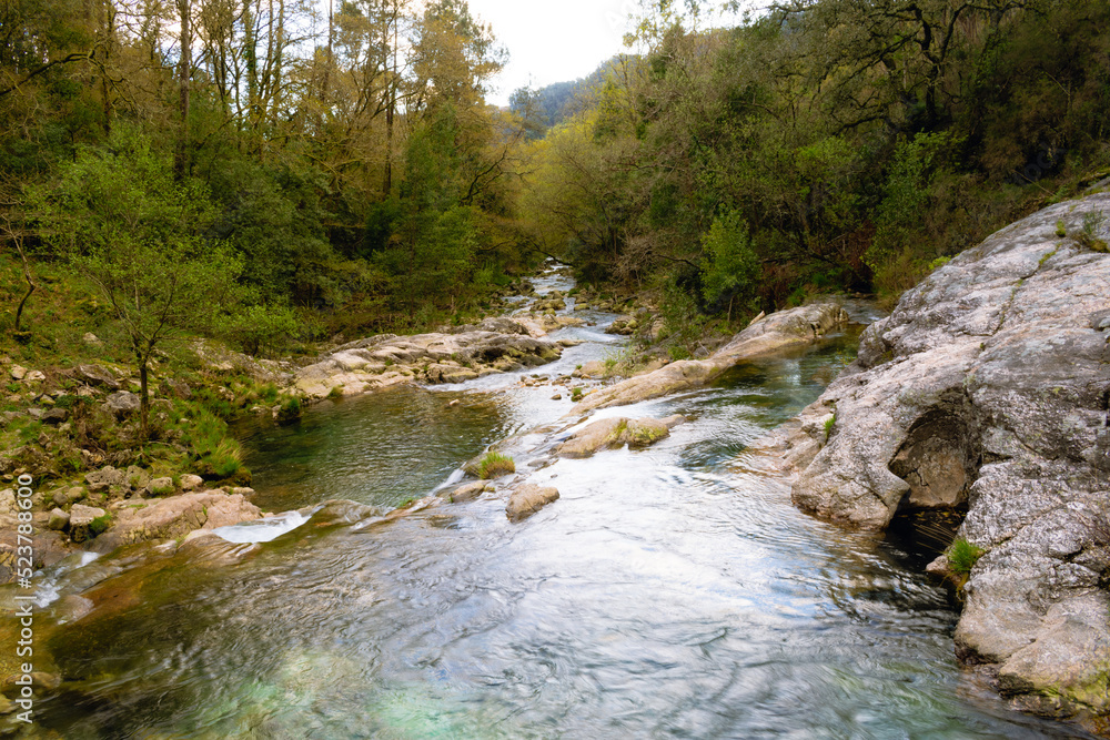 View of the Loureza pools surrounded by trees and dense vegetation. View of the Loureza pools surrounded by trees and dense vegetation. Oya - Galicia - Spain View of the Loureza pools surrounded by trees and dense vegetation. View of the Loureza pools surrounded by trees and dense vegetation. Oya - Galicia - Spain
