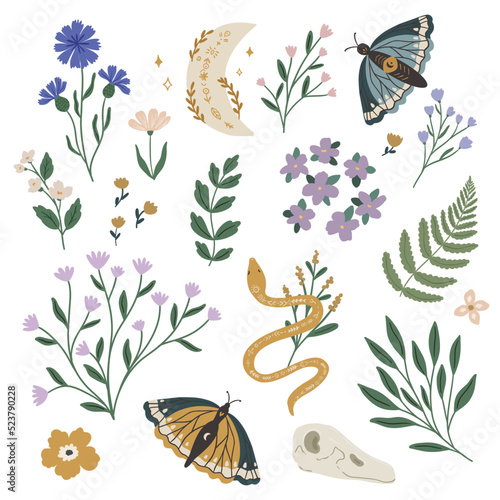 Set of wild grass decorative elements, mystical floral green witch clipart, magical forest clipart vector illustration isolated on white background