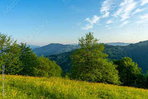 Carpathians mountains landscapes from green meadow on sunrise  Apetska mountain.