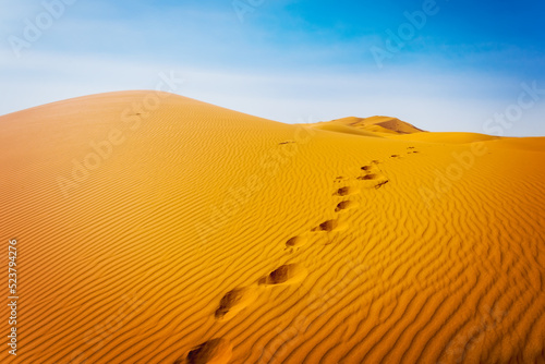 Majestic beautiful scene of Merzouga dunes of Sahara desert Morocco