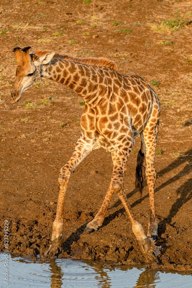 Obraz premium creatuve