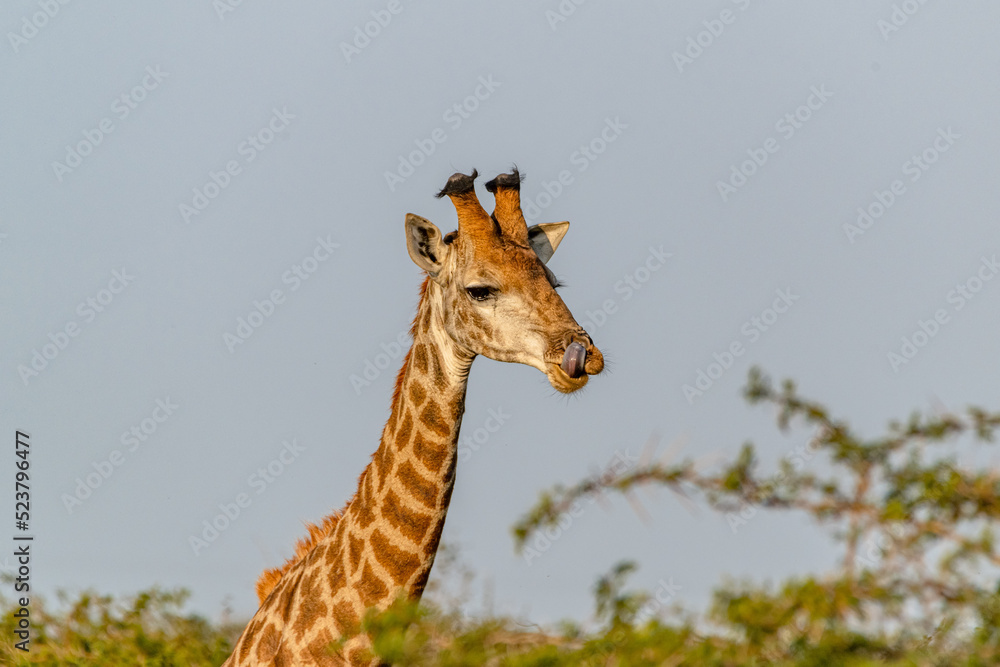 Fototapeta premium creative