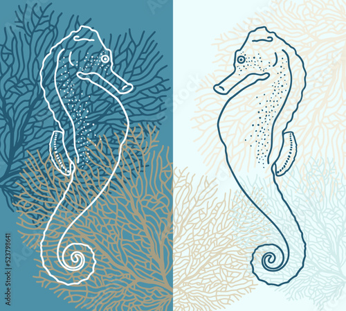 Two linear silhouettes of a seahorse and silhouettes of corals. Vector illustration.