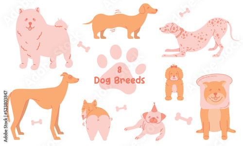 Vector Doodle Dog Breeds set. Outline Dogs in modern Flat style. Cartoon Dogs pack.