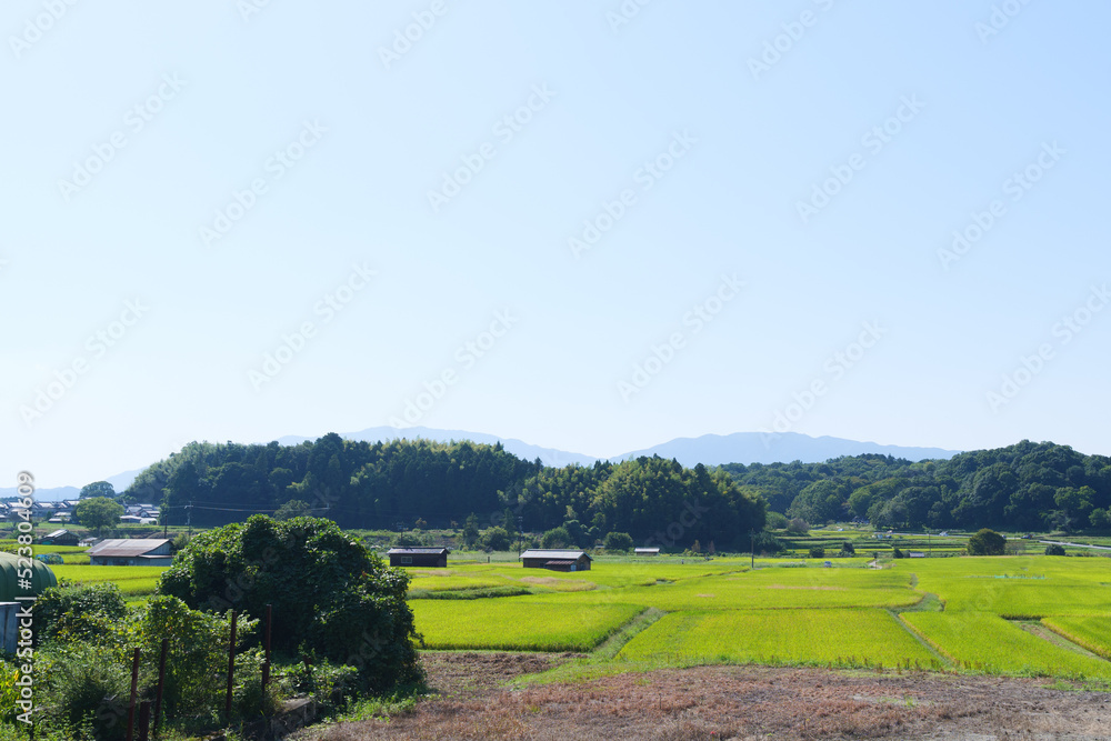 Obraz premium Autumn, a rural village deep in the mountains of Japan, a vast expanse of rice fields