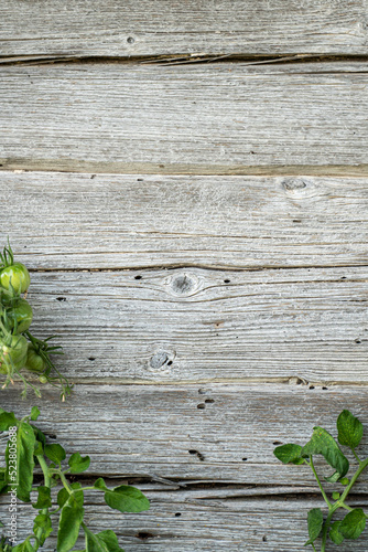 tomatos on a wooden background