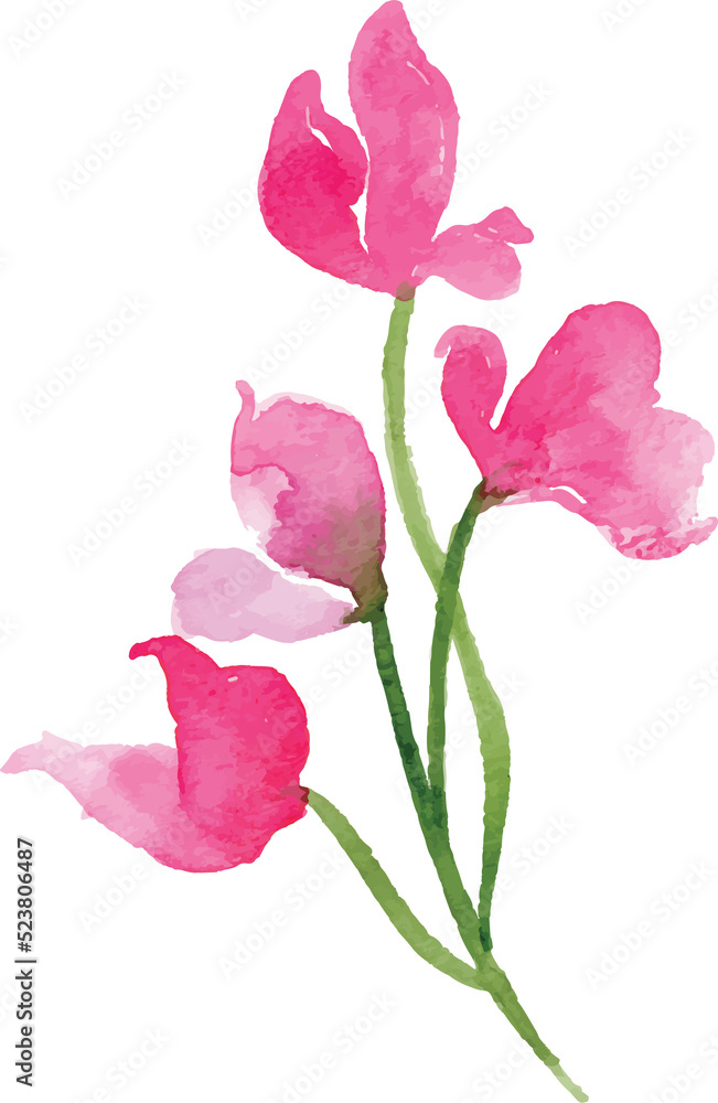 Looser Flower Watercolor Looser Flower Watercolor
