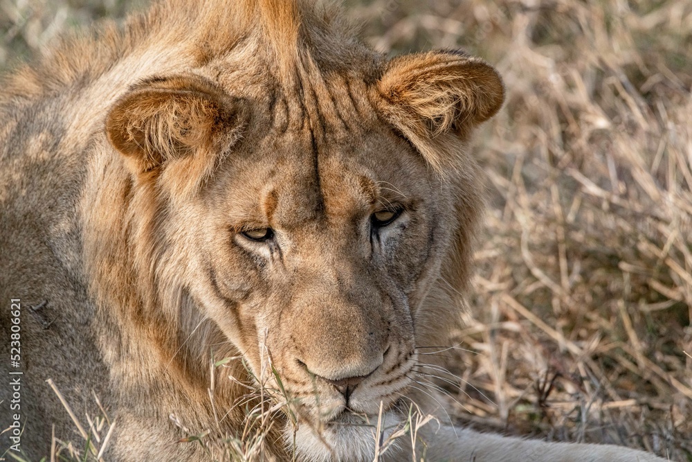 Obraz premium creative