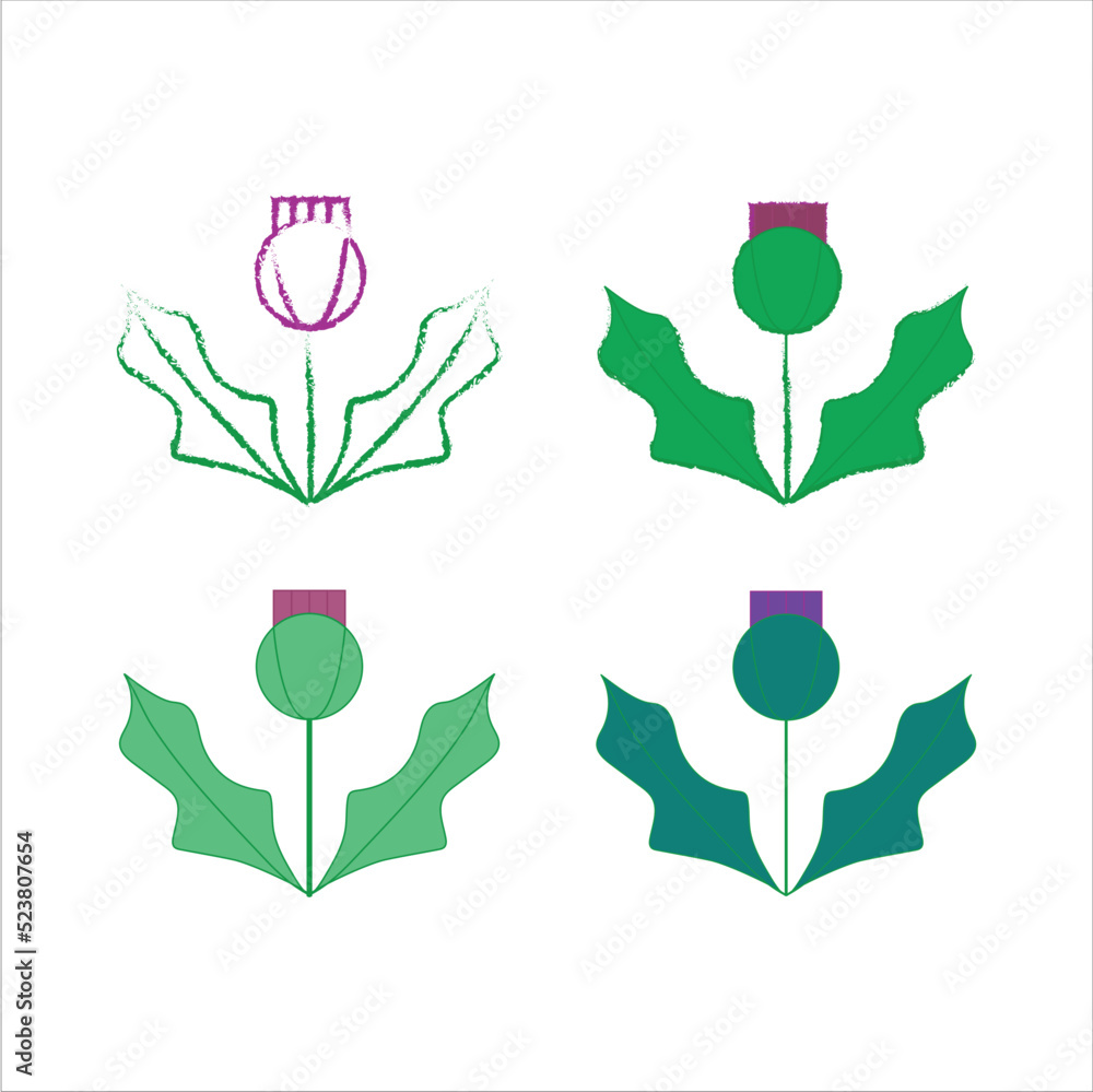 Thistle  floral emblem of Scotland design vector flat isolated illustration
