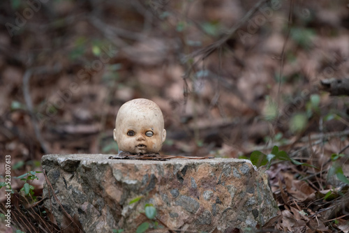 Abandoned and ruined doll head sits on tree stump in wooded area