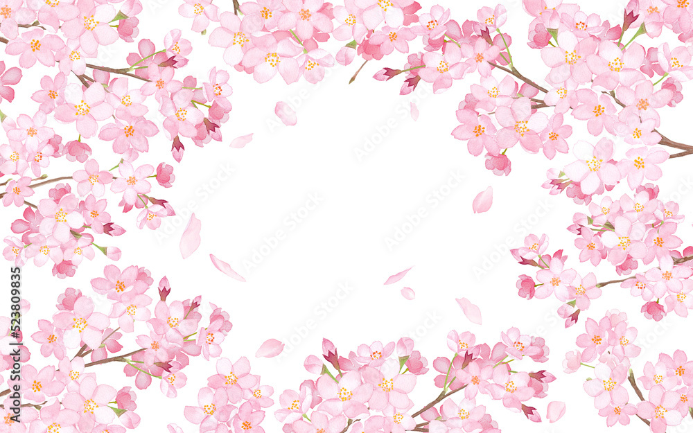 桜と散る花びらで囲んだフレーム。　水彩イラスト（透過背景）
