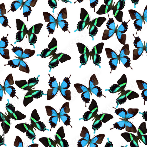 Seamless pattern tropical butterflies papilio blumei ulysses, blue green unusual insect texture, colorful background, wallpaper