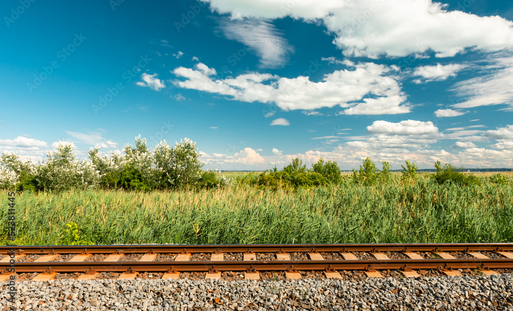 Railway track next to the lake Balaton surrounded by reeds.