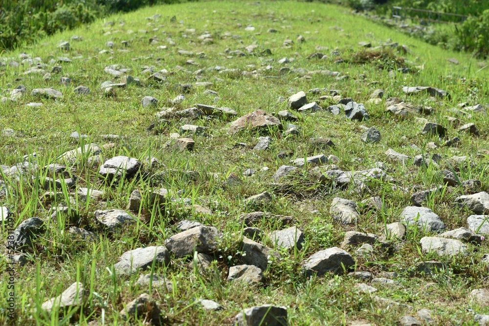 rough terrain trail for walking and trekking. rocky path on grass rough terrain trail for walking and trekking. rocky path on grass