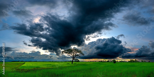 Panorama Super storm with sun light , Dark sky and dramatic black cloud before rain.rainy storm over rice fields.
